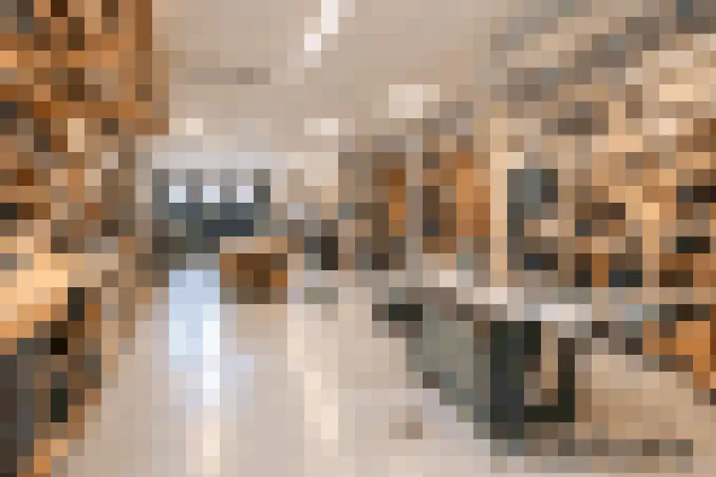 Keetgracht 16 Alkmaar thumbnail 6