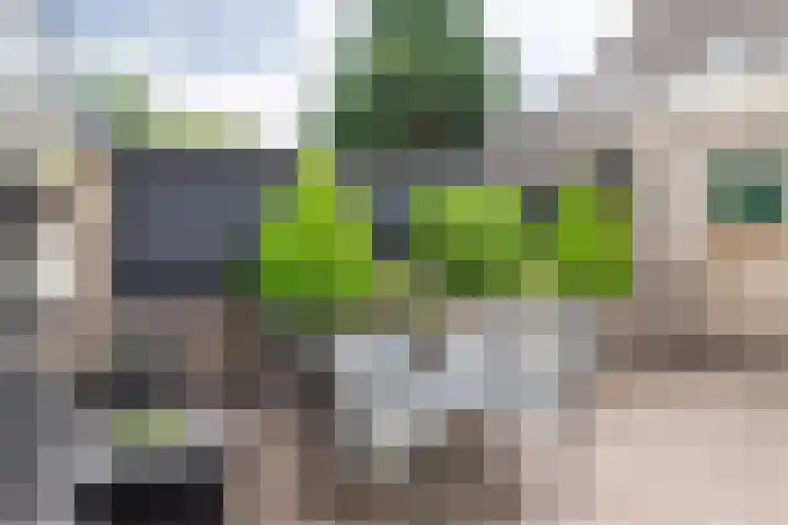 Keetjesbongerd 30 Kesteren thumbnail 31