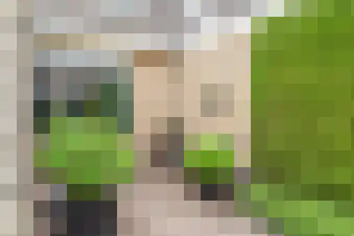 Keetjesbongerd 30 Kesteren thumbnail 33