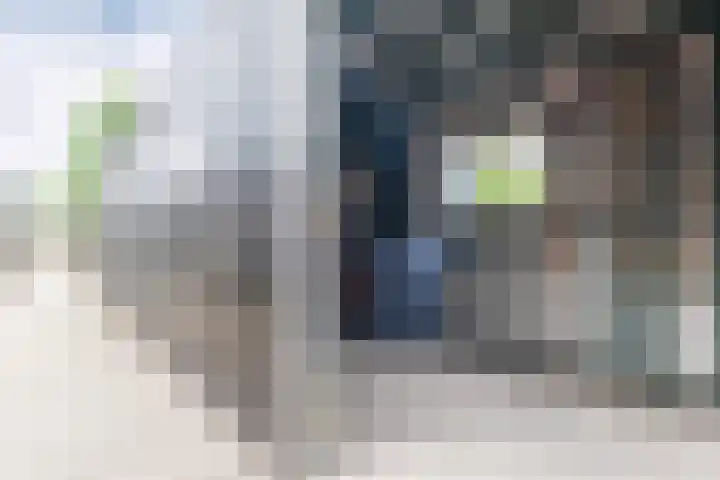 Keetjesbongerd 30 Kesteren thumbnail 36