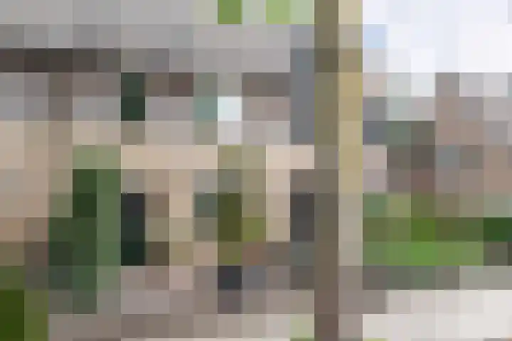 Keetjesbongerd 30 Kesteren thumbnail 39