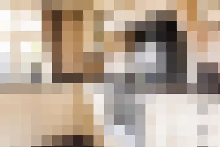 Keetjesbongerd 30 Kesteren thumbnail 46