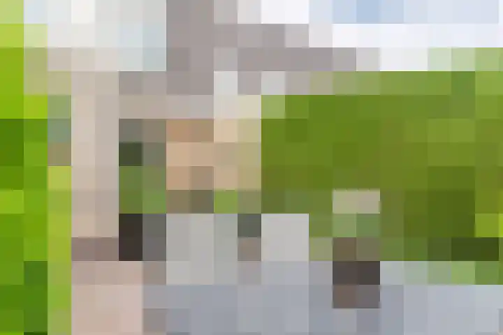 Keetjesbongerd 30 Kesteren thumbnail 57