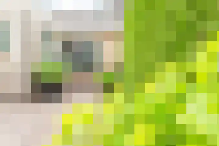 Keetjesbongerd 30 Kesteren thumbnail 58