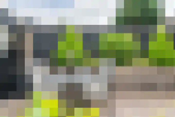 Keetjesbongerd 30 Kesteren thumbnail 60