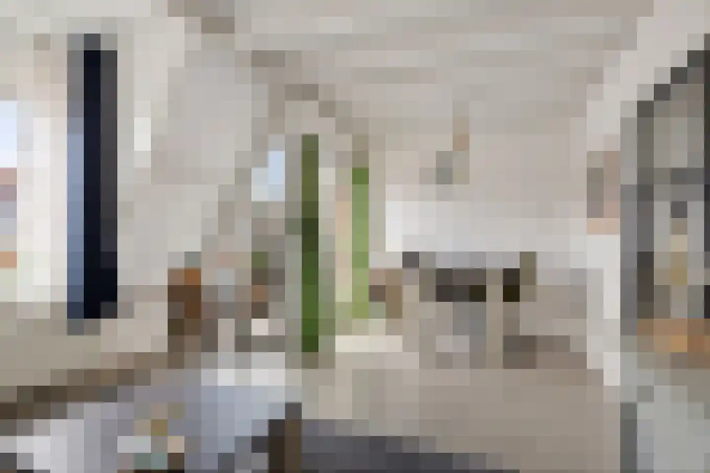 Keetwaltje 42 Leeuwarden thumbnail 6