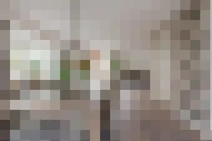 Keetzijde 11 Edam thumbnail 12