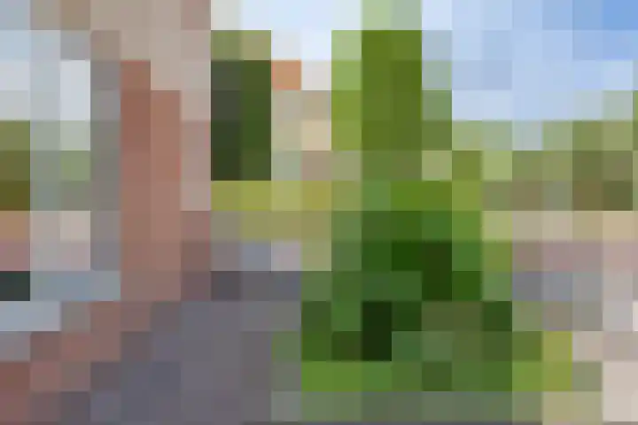 Keetzijde 11 Edam thumbnail 33
