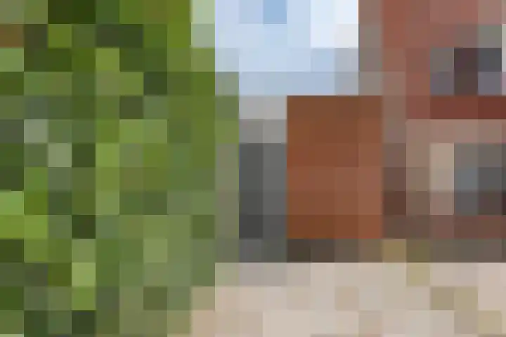 Keetzijde 11 Edam thumbnail 37
