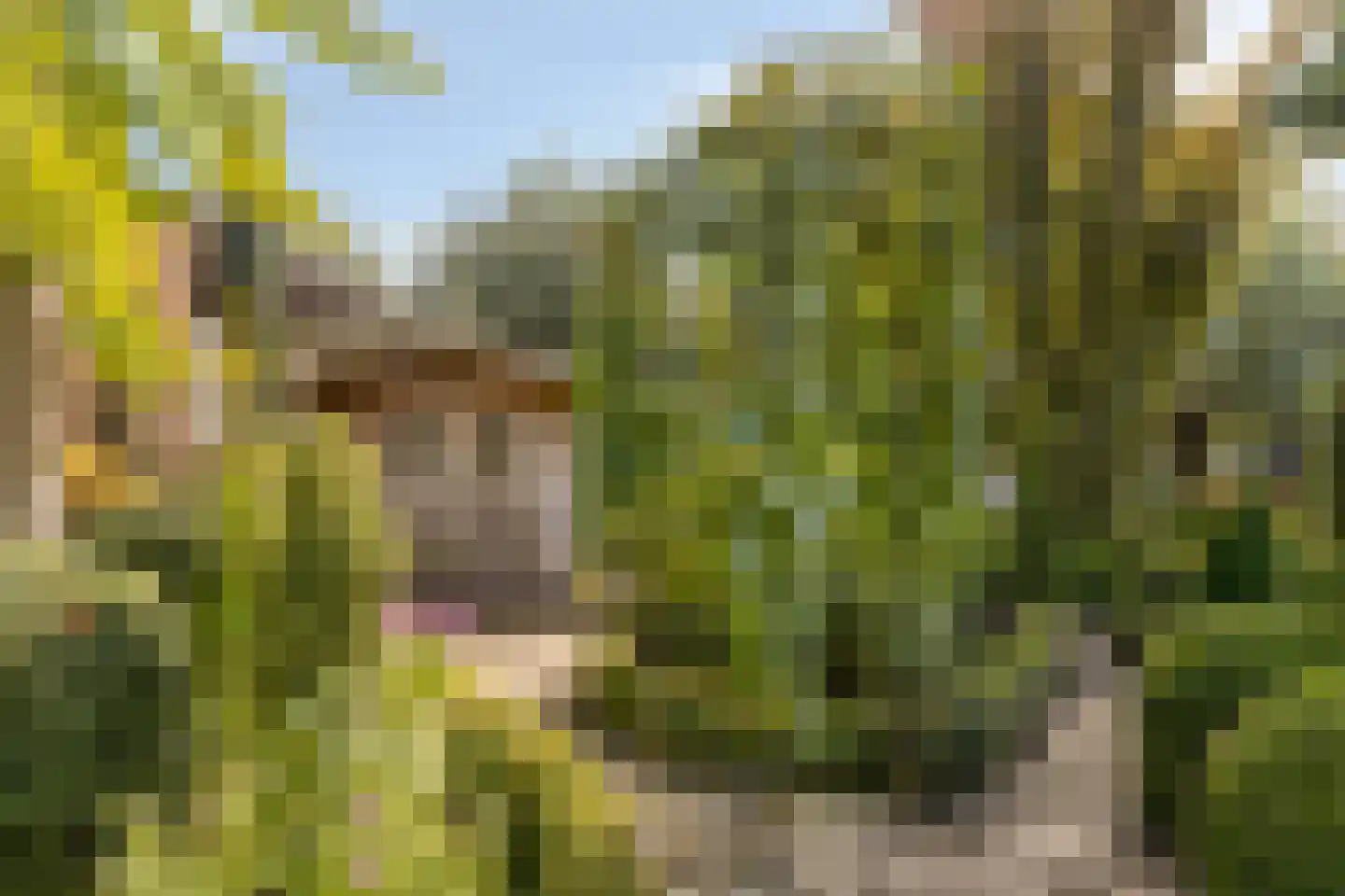 Keetzijde 14 Edam thumbnail 40