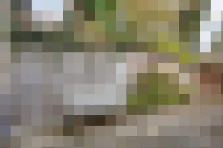 Kegelplein 8 Purmerend thumbnail 30
