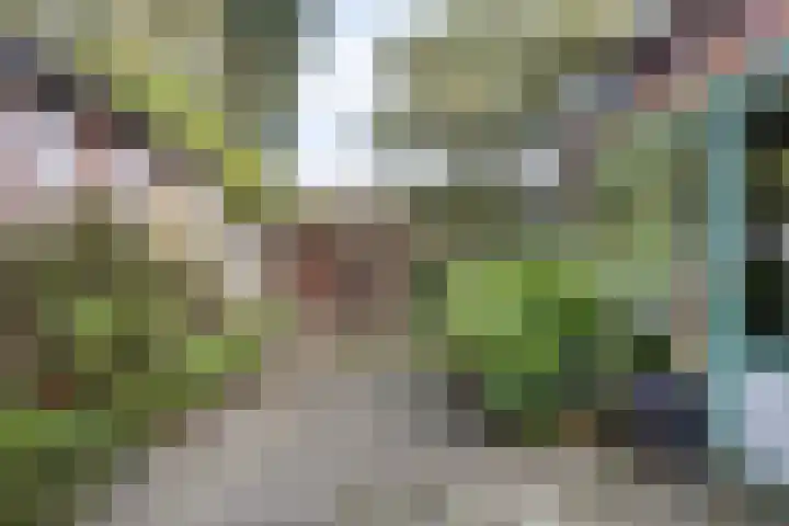 Kegelplein 8 Purmerend thumbnail 31