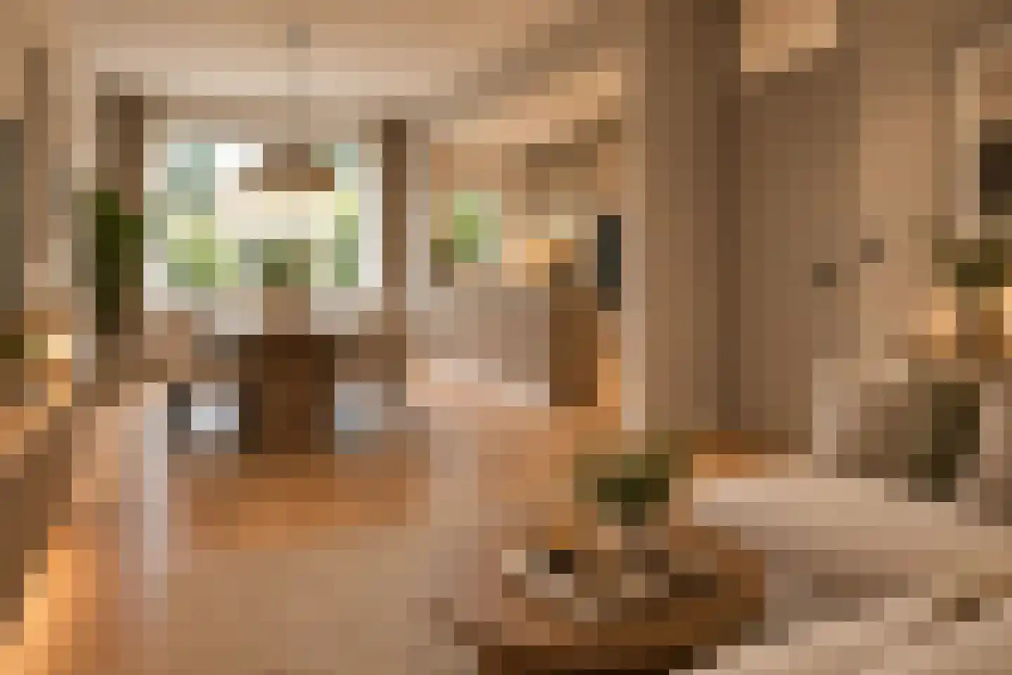 Keggedreef 1 Utrecht thumbnail 11