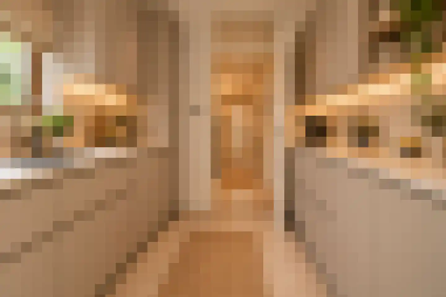 Keggedreef 1 Utrecht thumbnail 15