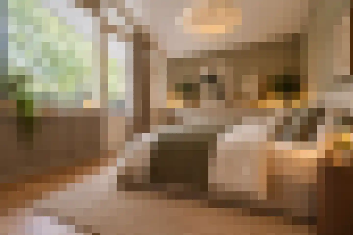 Keggedreef 1 Utrecht thumbnail 35