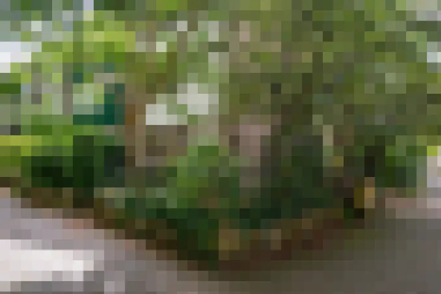 Keggedreef 1 Utrecht thumbnail 45