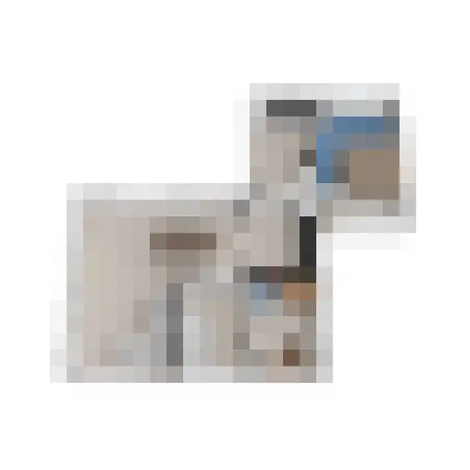 Keidelplein 7 De Cocksdorp thumbnail 35