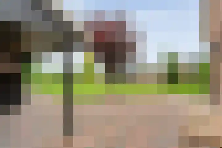 Keienweg 23 x Lutten thumbnail 35