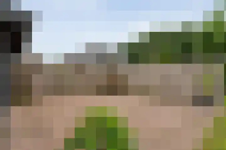 Keienweg 23 x Lutten thumbnail 38