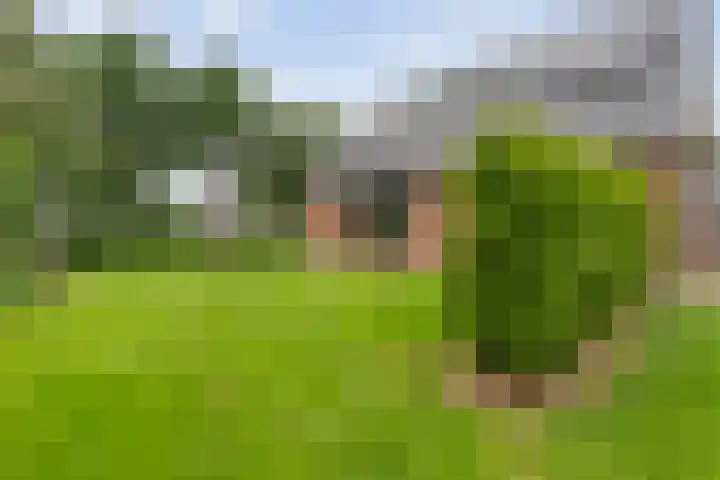 Keienweg 23 x Lutten thumbnail 41