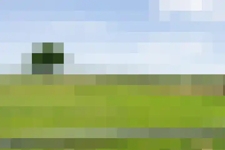 Keienweg 23 x Lutten thumbnail 43