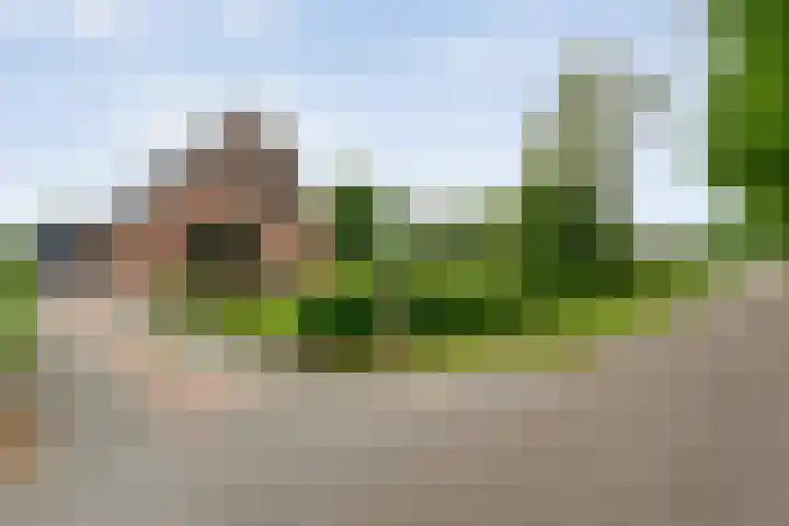 Keienweg 23 x Lutten thumbnail 45