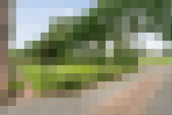 Keienweg 23 x Lutten thumbnail 47