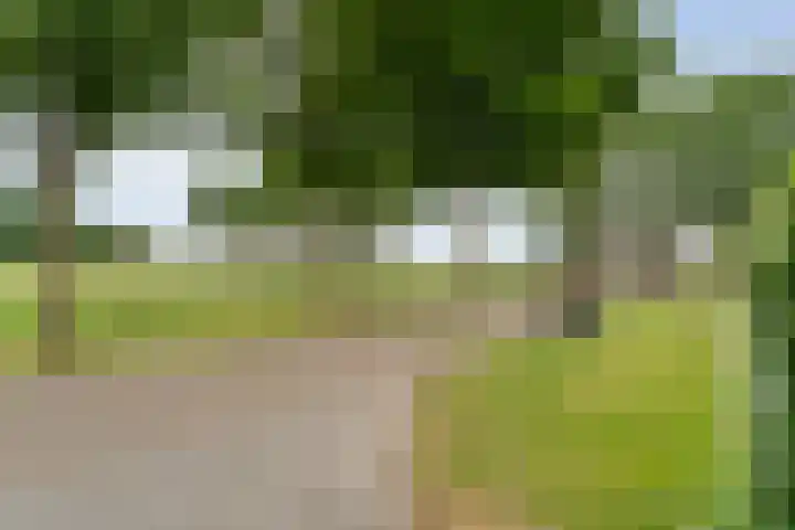 Keienweg 23 x Lutten thumbnail 48