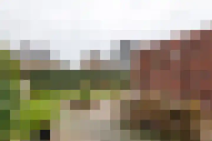 Keierskant 15 Leerdam thumbnail 11