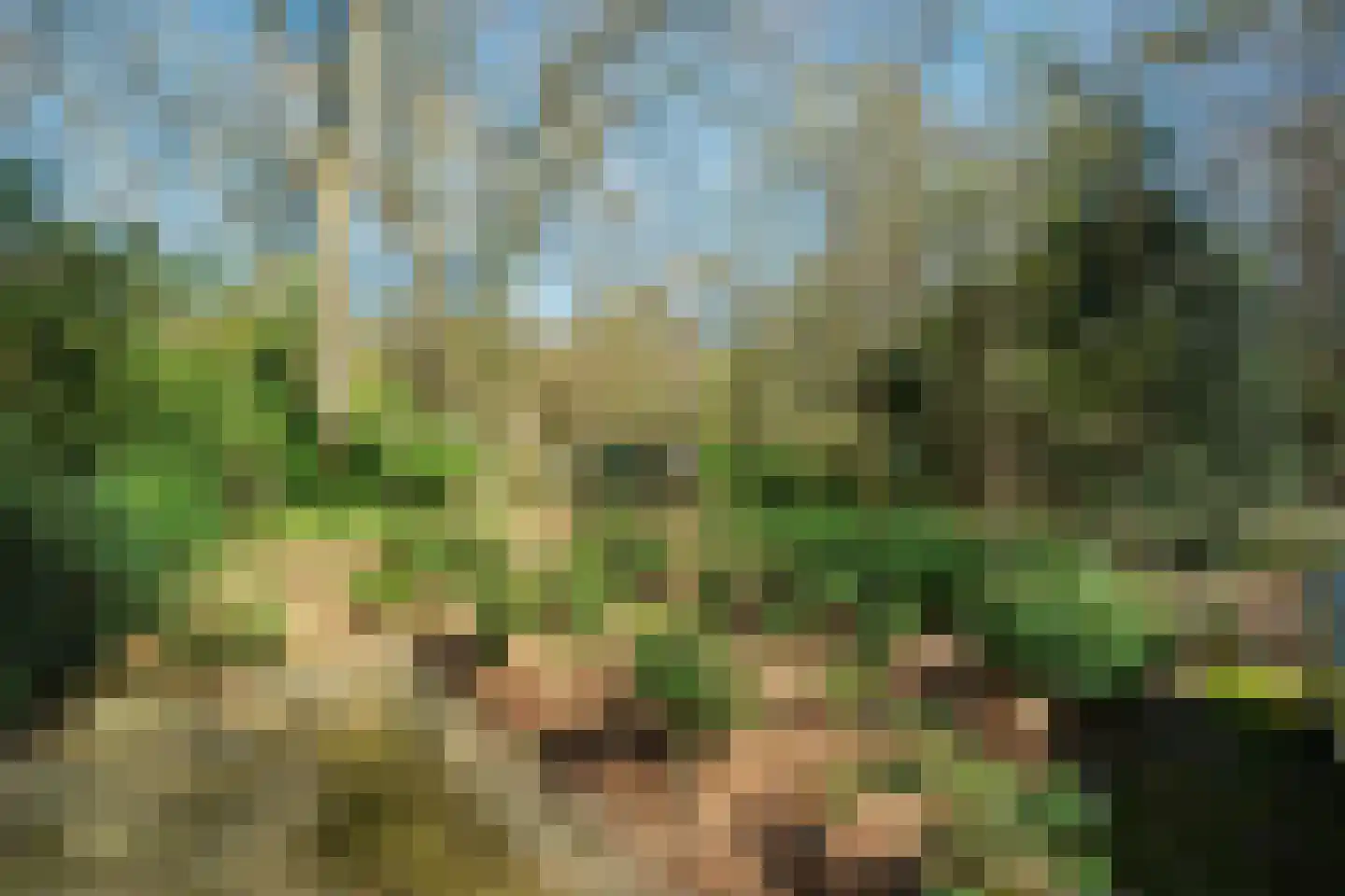 Keijenbergseweg 24 Wageningen thumbnail 30