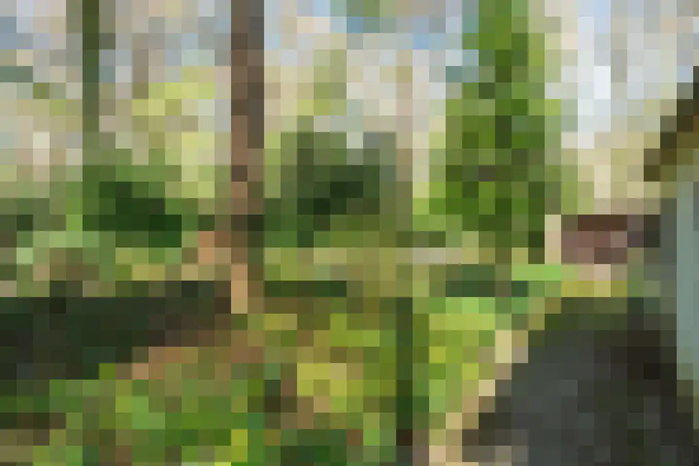 Keijenbergseweg 24 Wageningen thumbnail 32