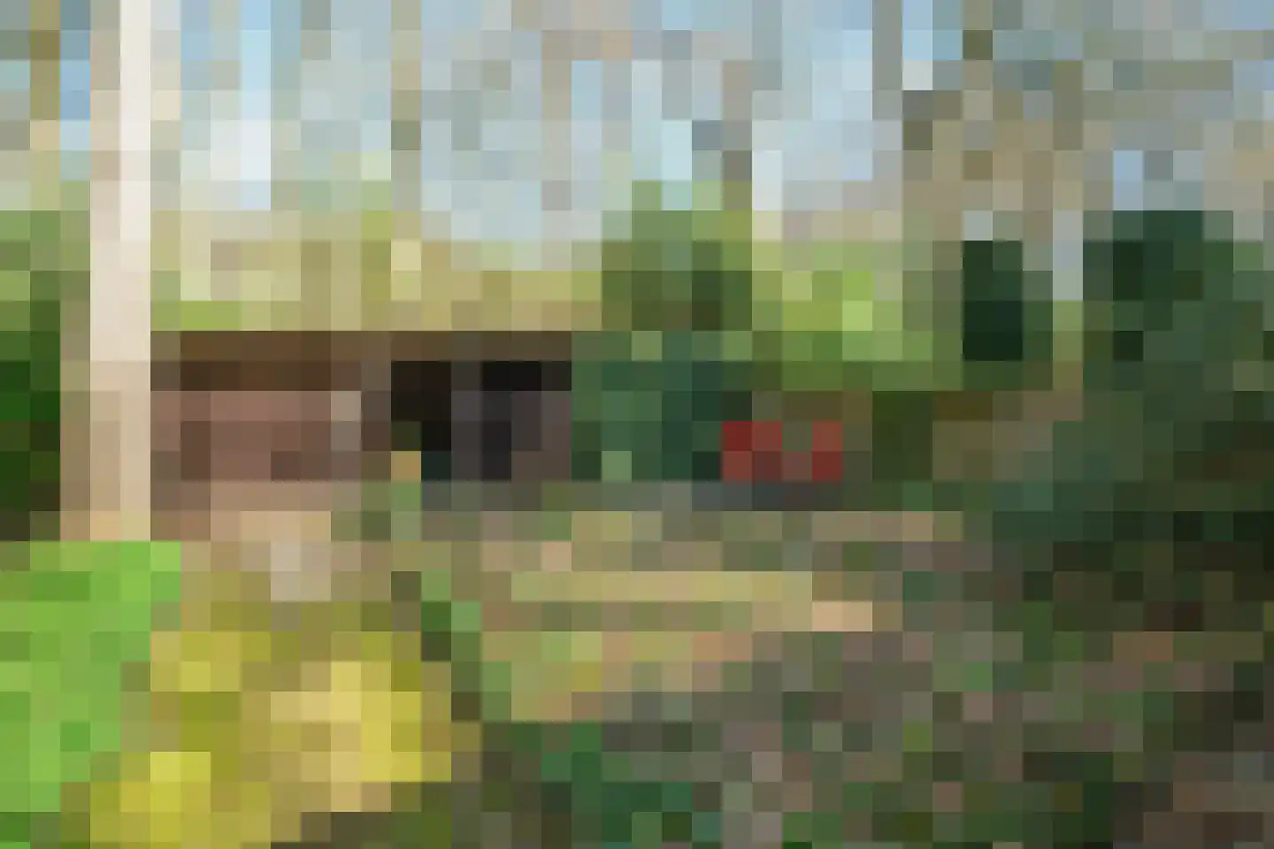Keijenbergseweg 24 Wageningen thumbnail 33
