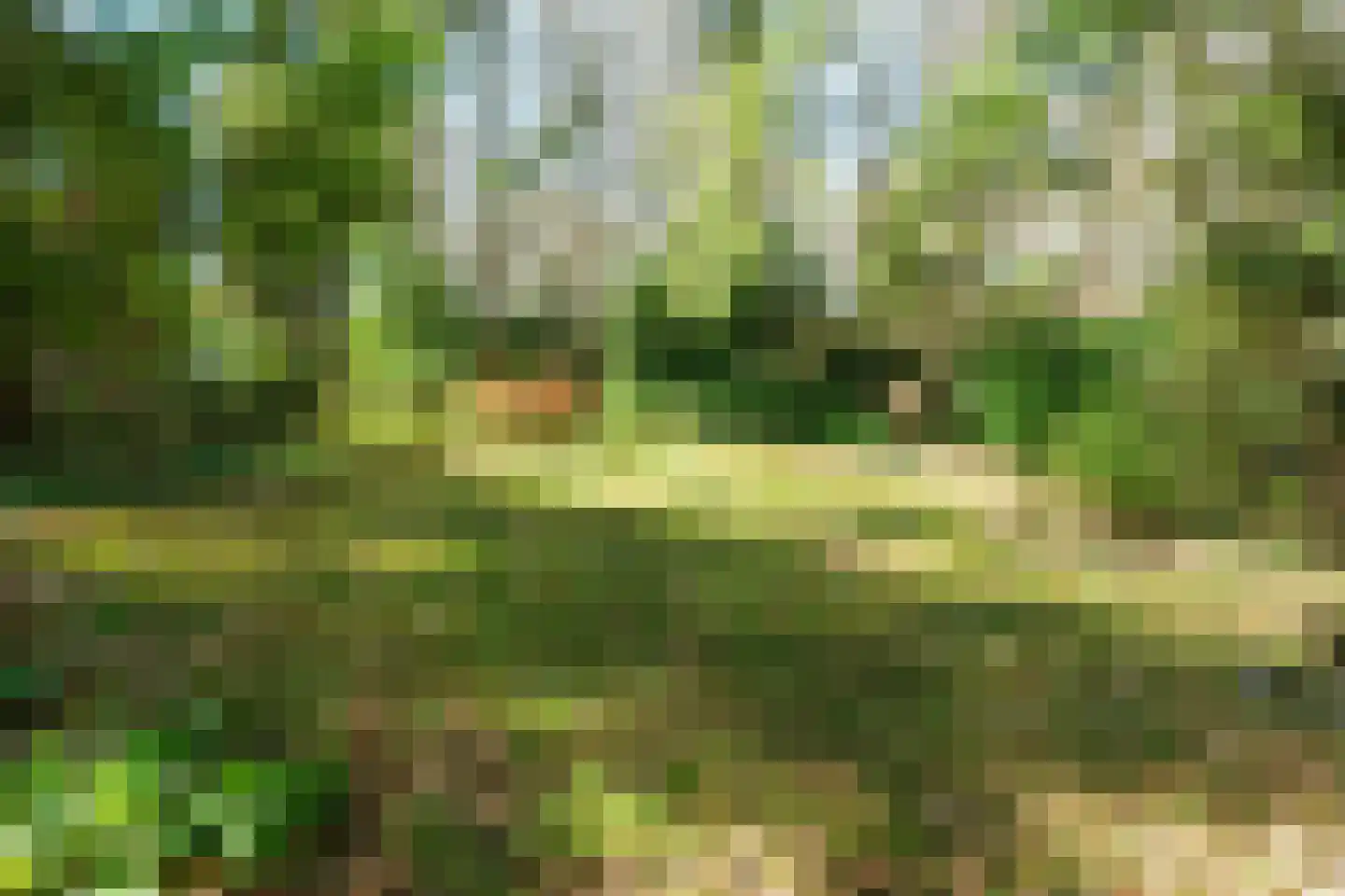 Keijenbergseweg 24 Wageningen thumbnail 34
