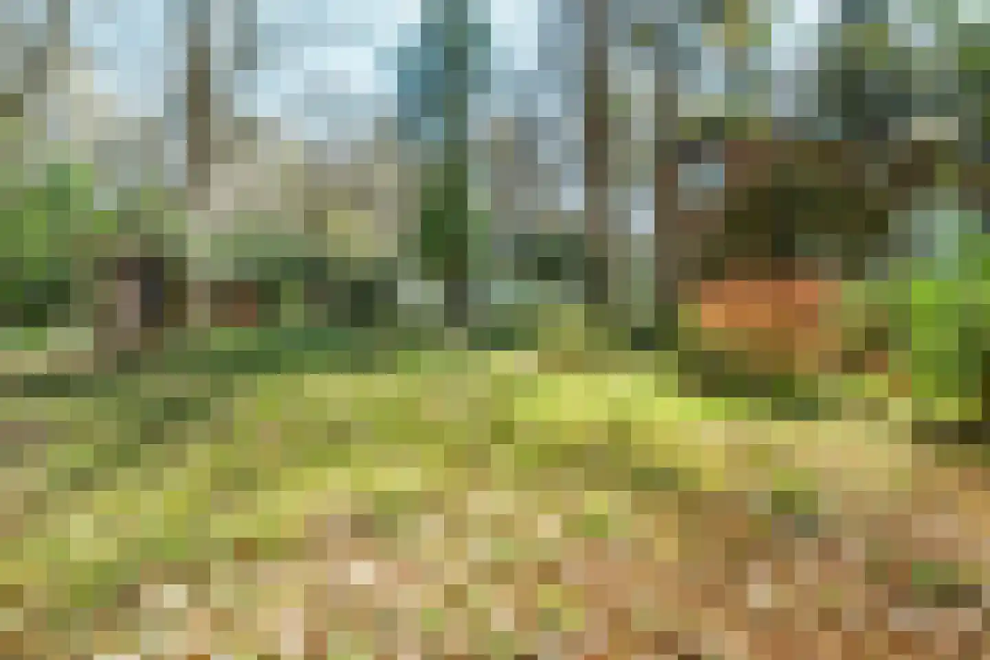 Keijenbergseweg 24 Wageningen thumbnail 35