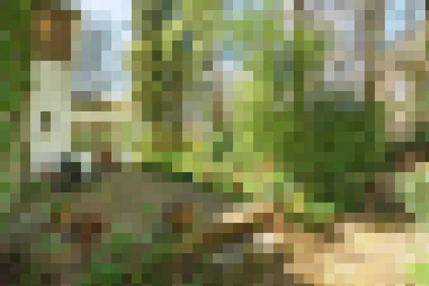 Keijenbergseweg 24 Wageningen thumbnail 36
