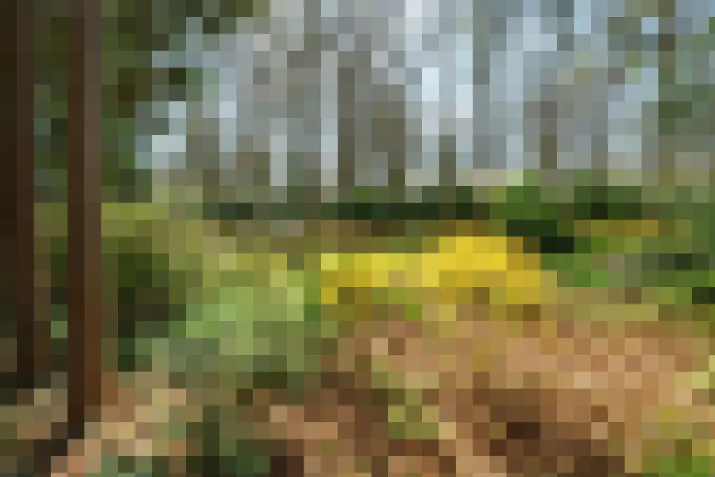 Keijenbergseweg 24 Wageningen thumbnail 37