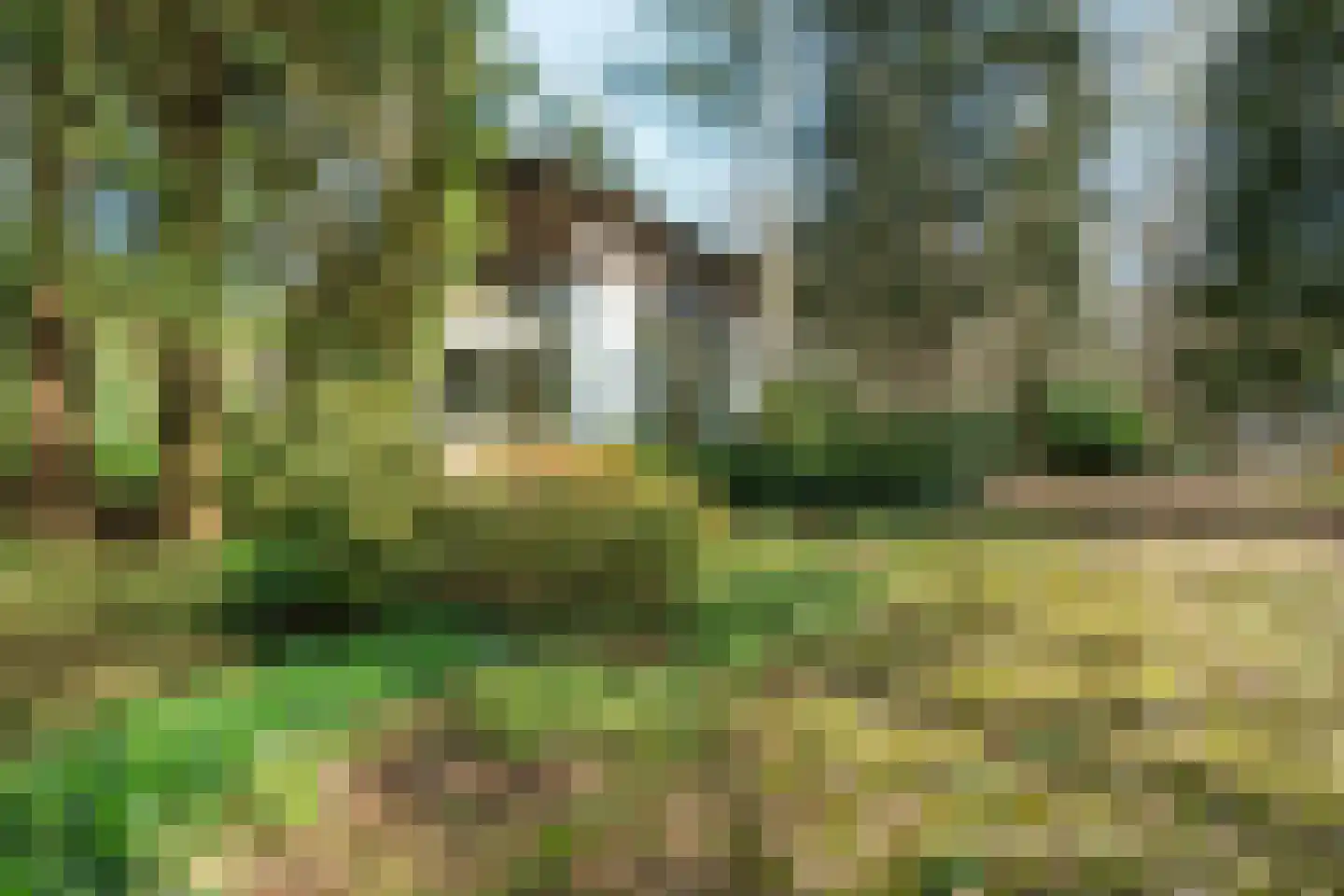 Keijenbergseweg 24 Wageningen thumbnail 38