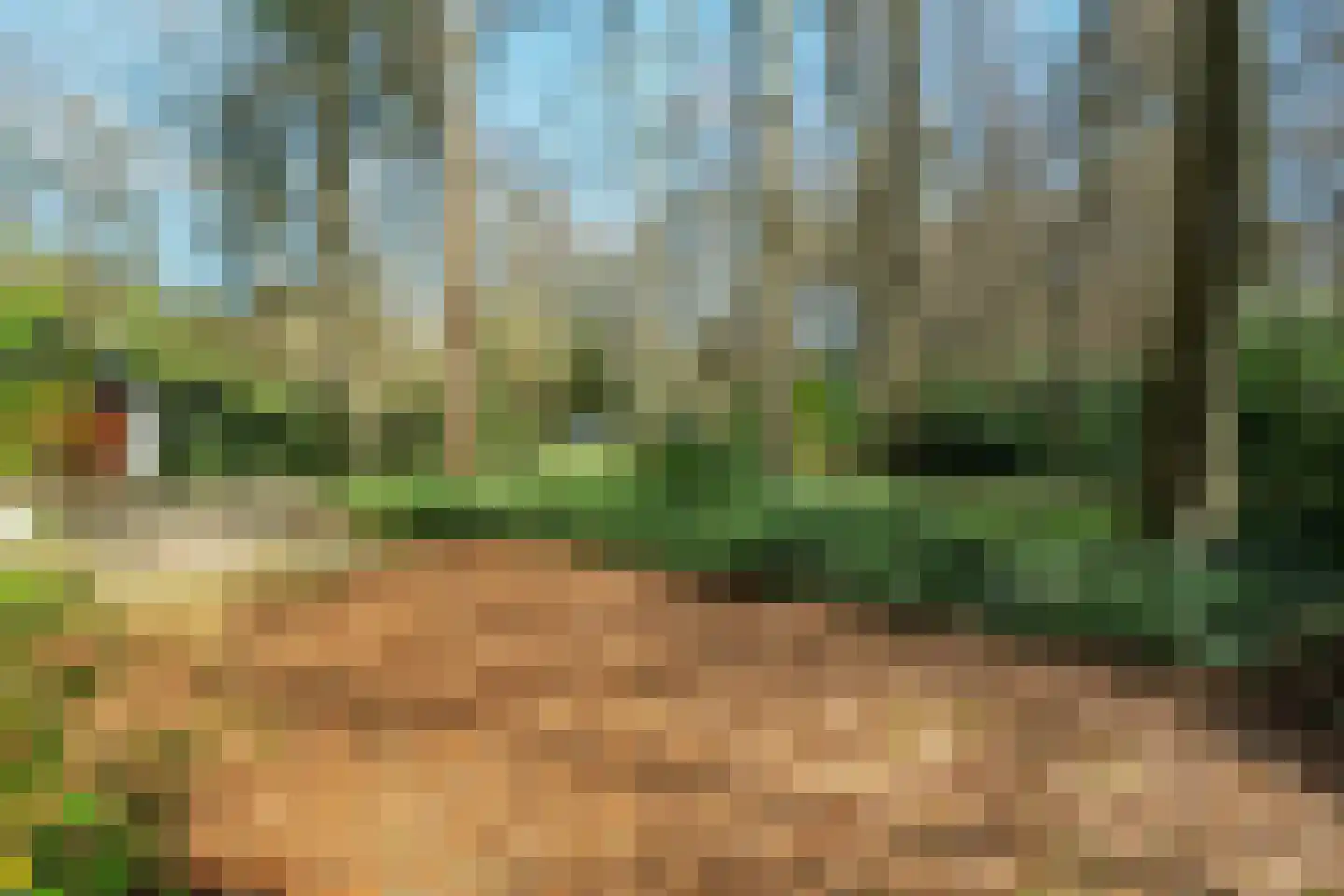 Keijenbergseweg 24 Wageningen thumbnail 39