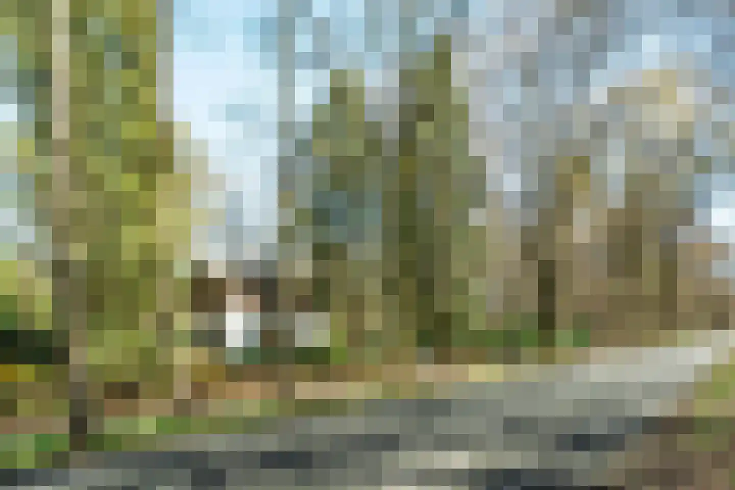 Keijenbergseweg 24 Wageningen thumbnail 4
