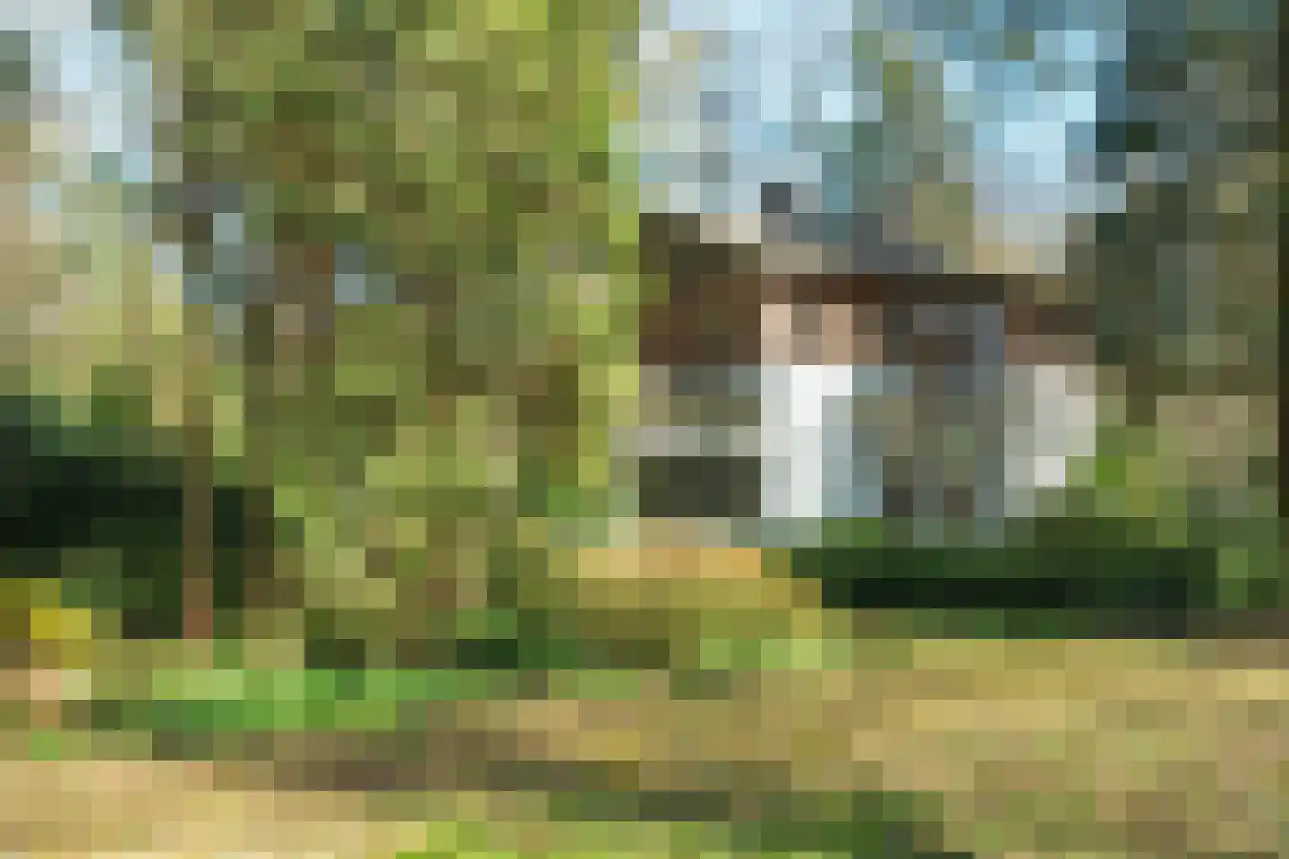 Keijenbergseweg 24 Wageningen thumbnail 40