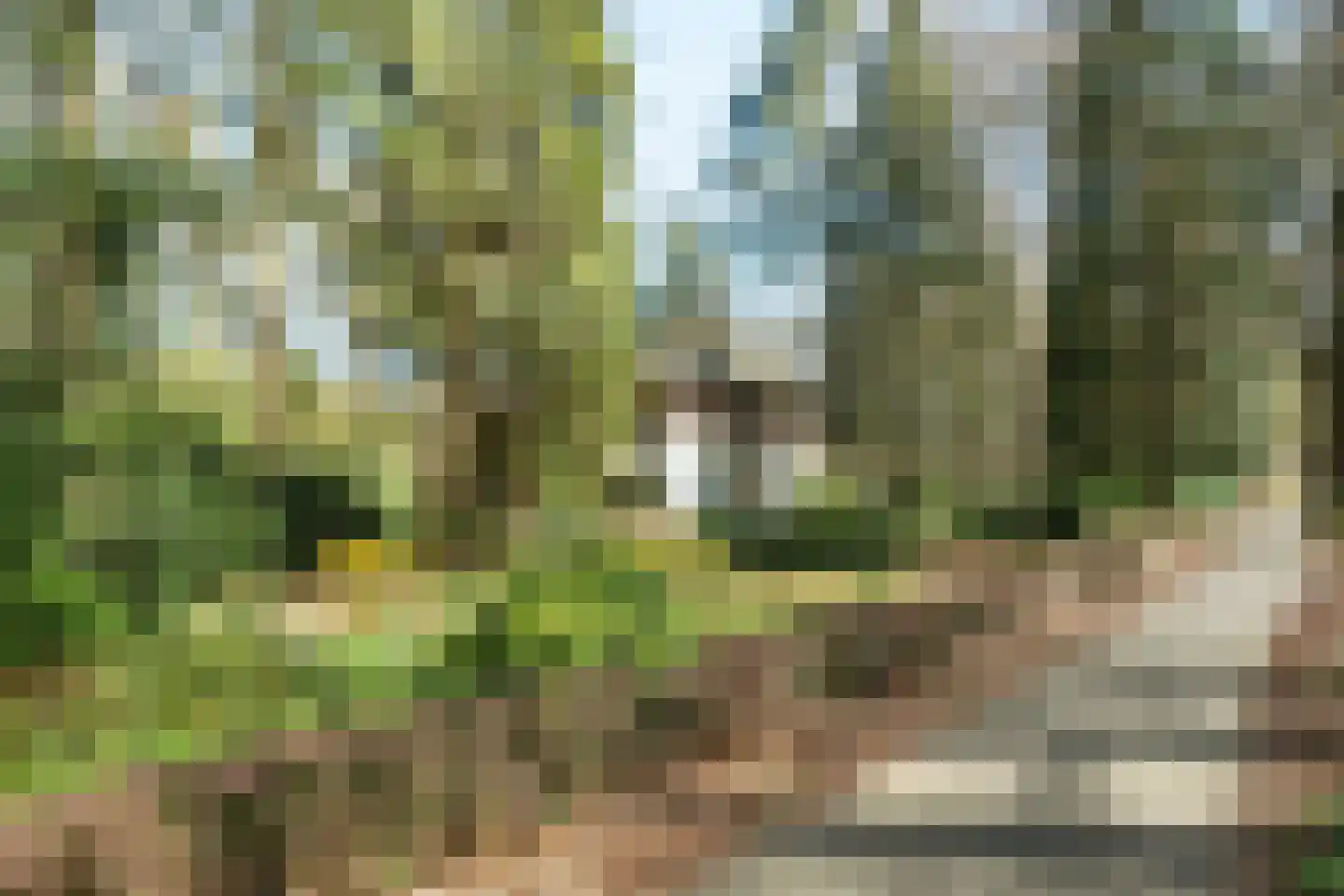 Keijenbergseweg 24 Wageningen thumbnail 5