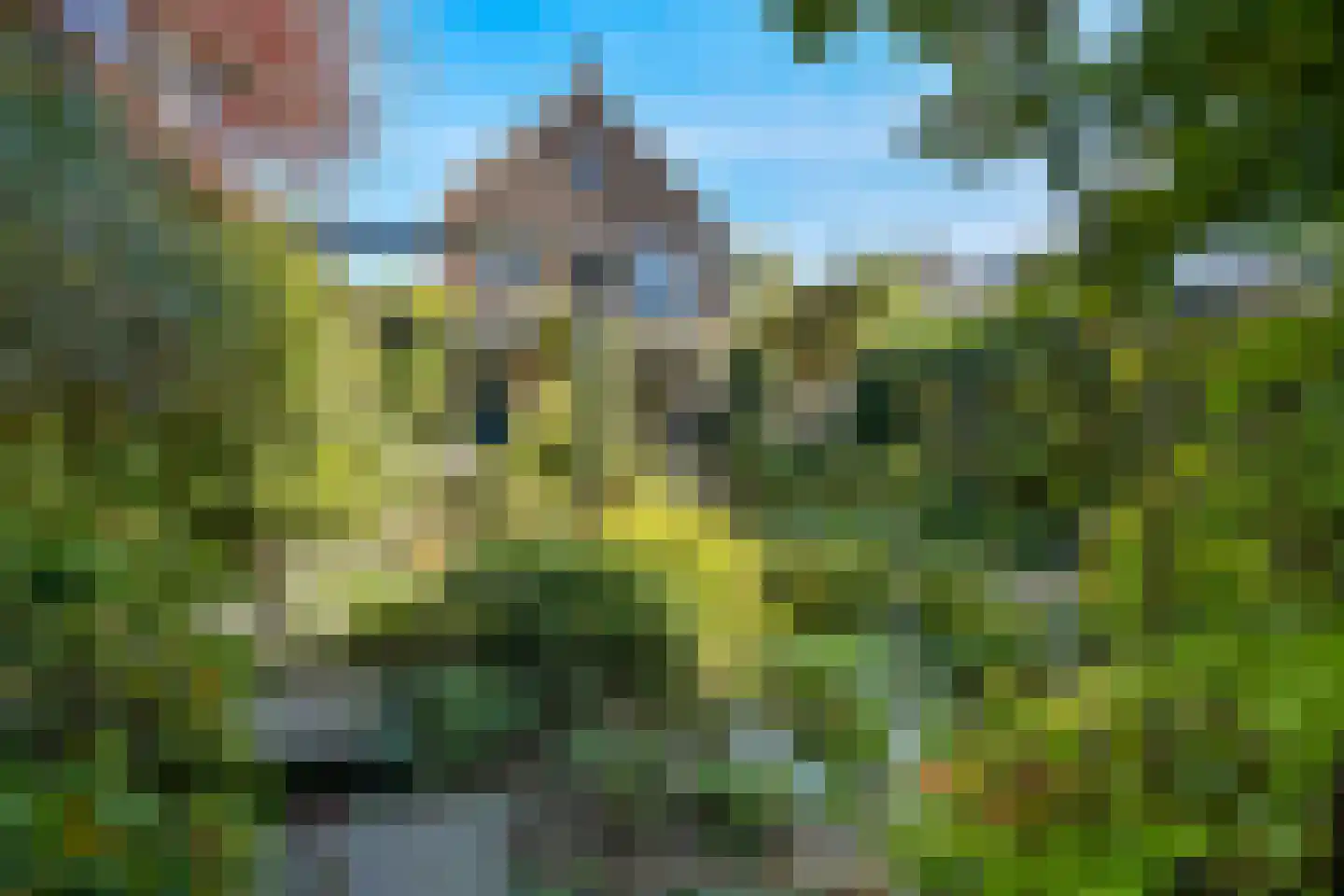 Keijenbergseweg 52 Renkum thumbnail 33