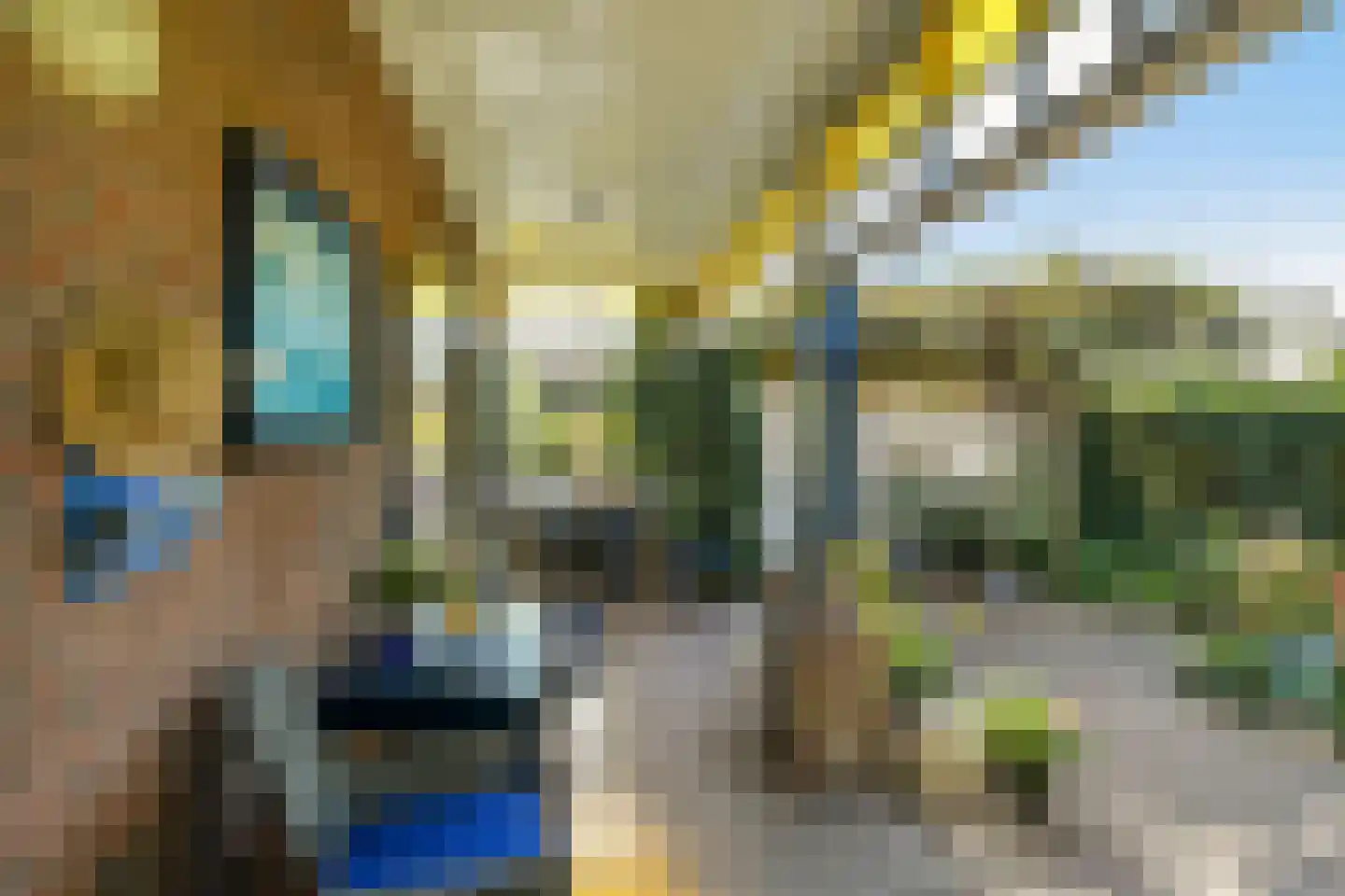 Keijenbergseweg 52 Renkum thumbnail 35