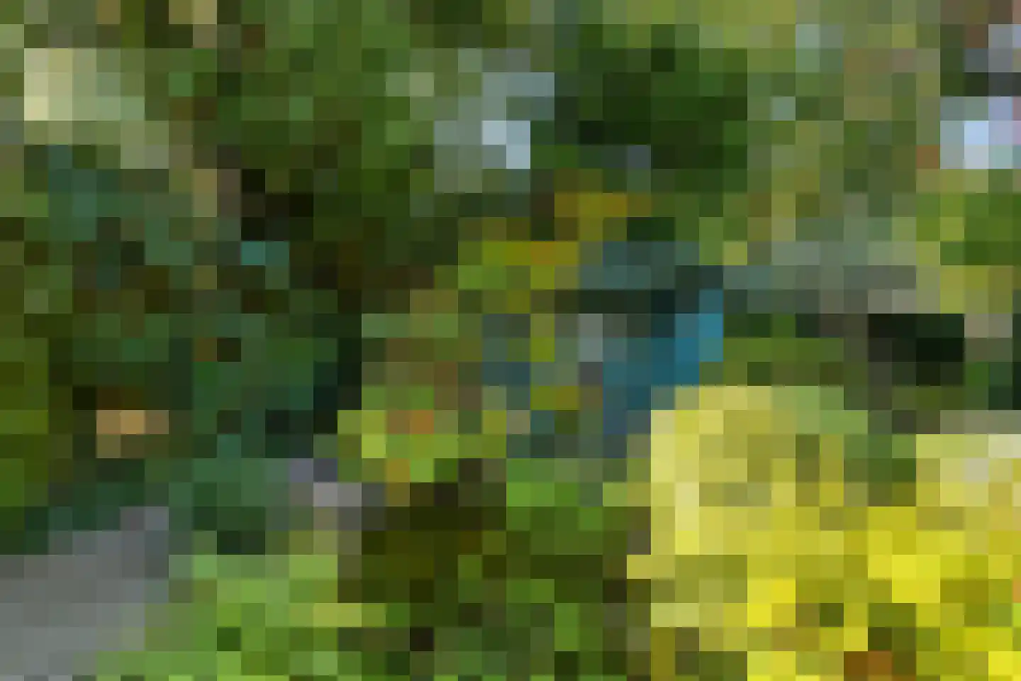 Keijenbergseweg 52 Renkum thumbnail 38