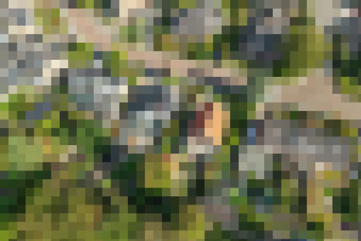Keijenbergseweg 52 Renkum thumbnail 45