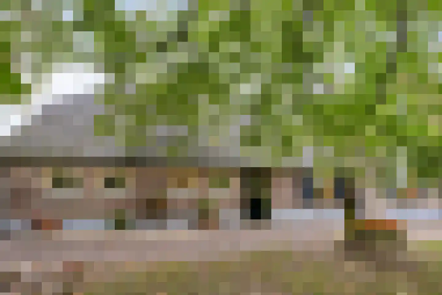 Keijenborgseweg 31 Zelhem thumbnail 62