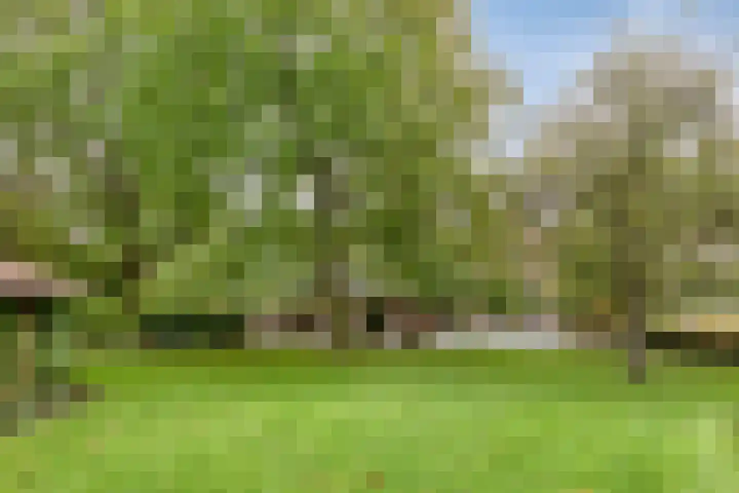 Keijenborgseweg 31 Zelhem thumbnail 64