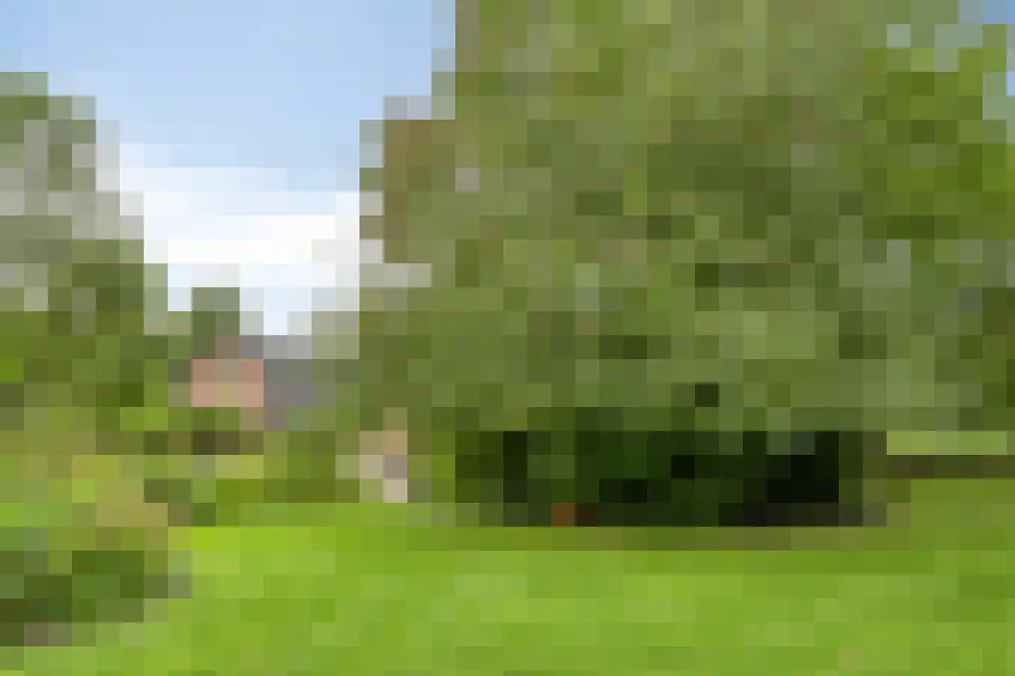 Keijenborgseweg 31 Zelhem thumbnail 66