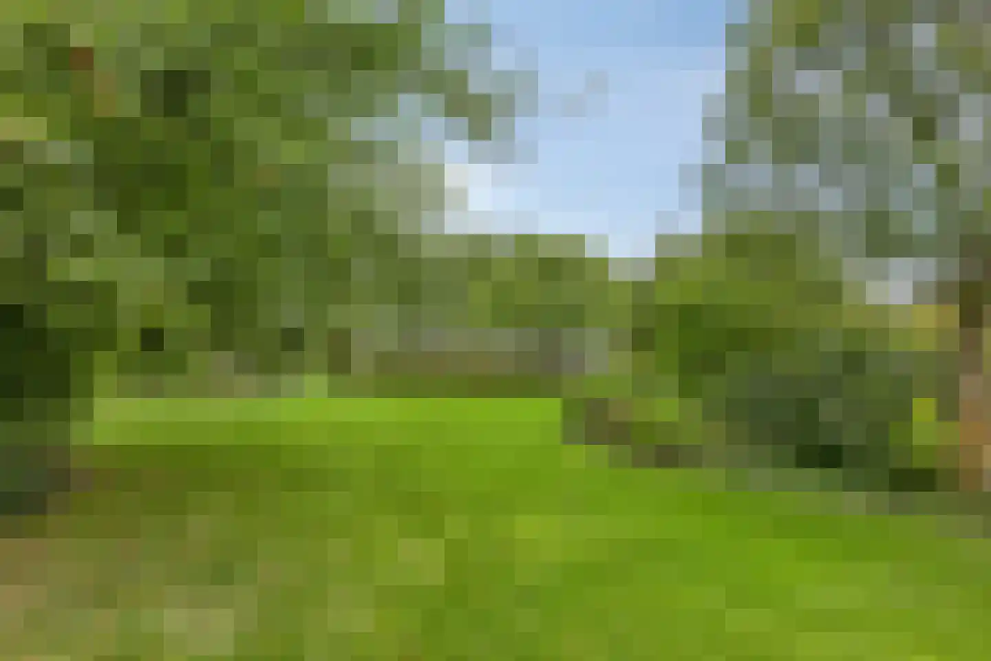 Keijenborgseweg 31 Zelhem thumbnail 67
