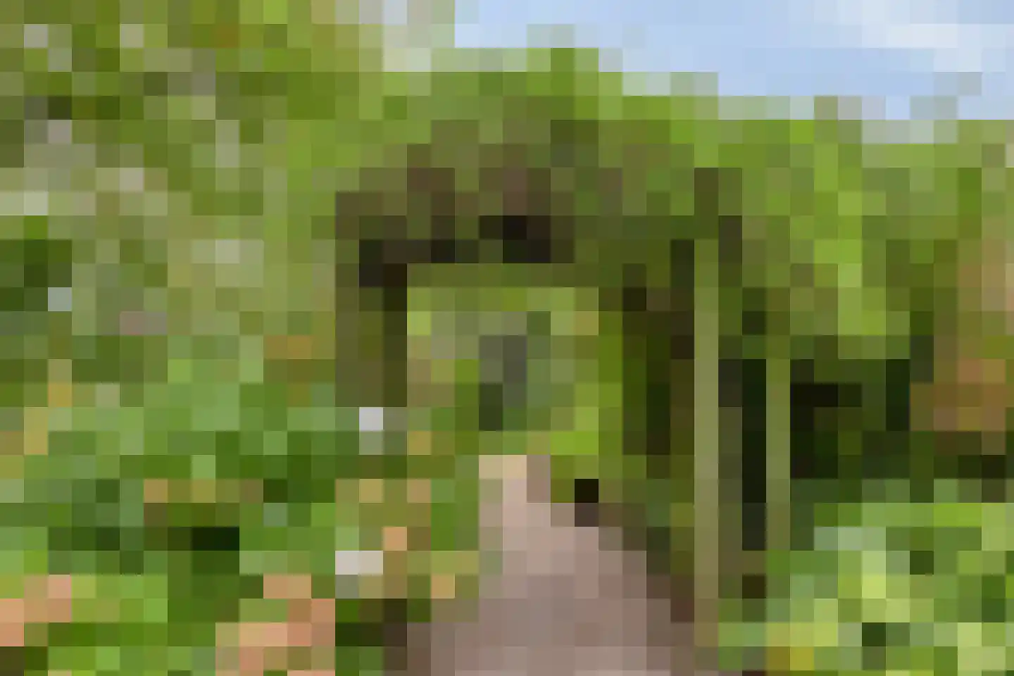 Keijenborgseweg 31 Zelhem thumbnail 73